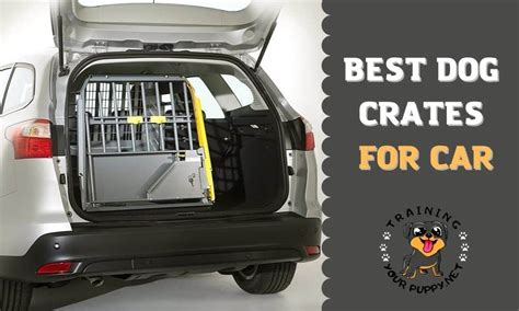 soft dog crate crash tested|best crash rated dog crates.